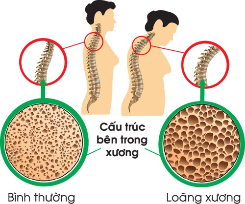 Đậu xanh, Công dụng của Đậu xanh, Thực phẩm tốt cho sức khỏe