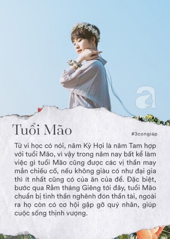 12 con giáp, tử vi 12 con giáp, tử vi 2019