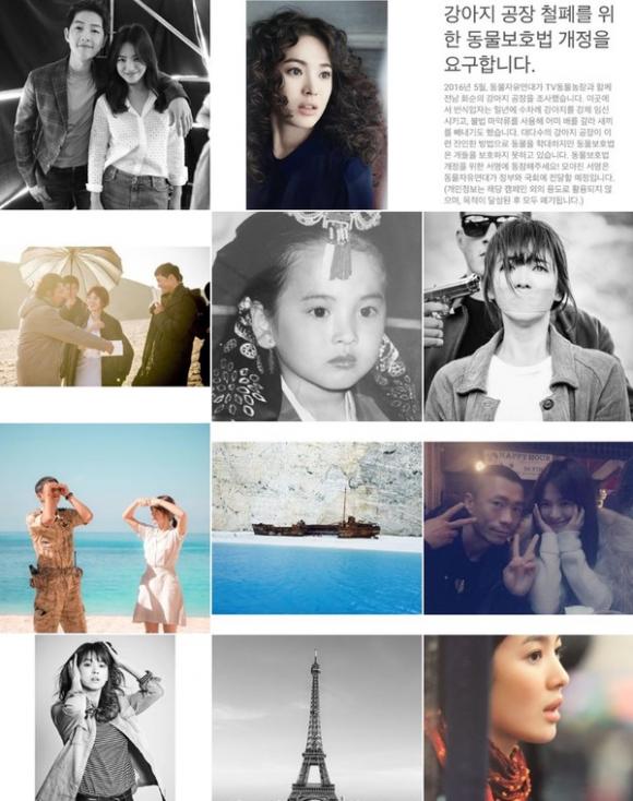 Ä'á»™ng Thai Má»›i Nháº¥t Cá»§a Song Hye Kyo Tren Instagram Lam Rá»™ Tin Ä'á»