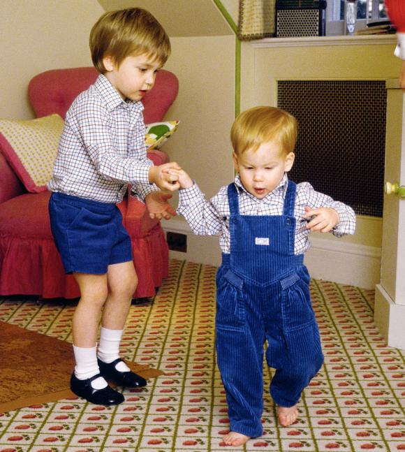 Hoàng gia Anh,Hoàng tử Harry,Hoàng tử William