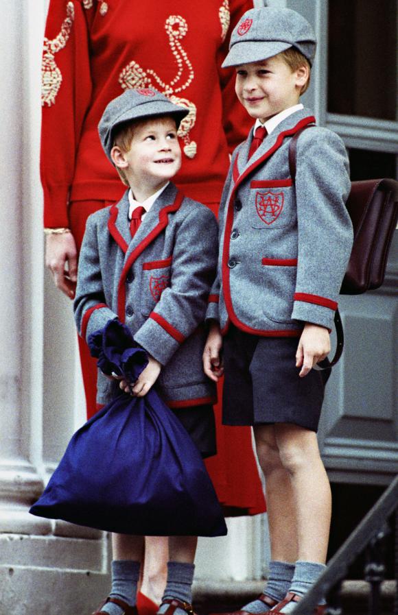 Hoàng gia Anh,Hoàng tử Harry,Hoàng tử William