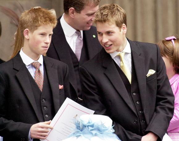 Hoàng gia Anh,Hoàng tử Harry,Hoàng tử William