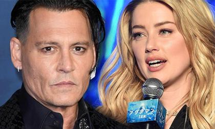 Johnny Depp, Amber Heard, sao Hollywood