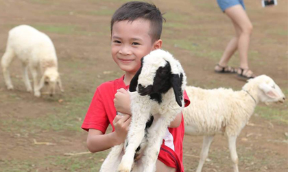 Ca sĩ thanh thảo,búp bê thanh thảo,con nuôi thanh thảo,em gái thanh thảo