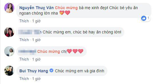 Hoa hậu Ngô Phương Lan, con Ngô Phương Lan, Ngô Phương Lan sinh con