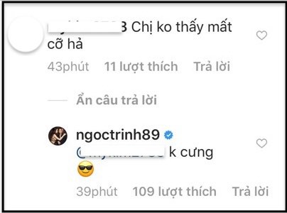 Nữ hoàng nội y,Ngọc Trinh,sao Việt