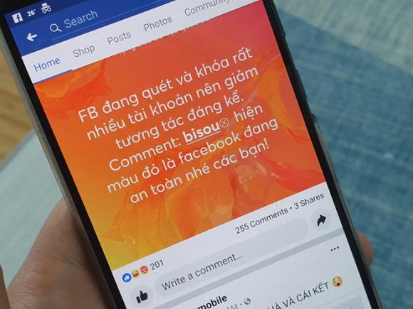 mạng xã hội, sự cố Facebook, lừa đảo qua mạng, trò lừa bisou