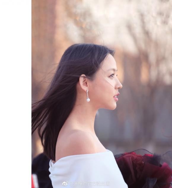 trương tử lâm trẻ đẹp,Hoa hậu Thế giới Trương Tử Lâm, sao hoa ngữ