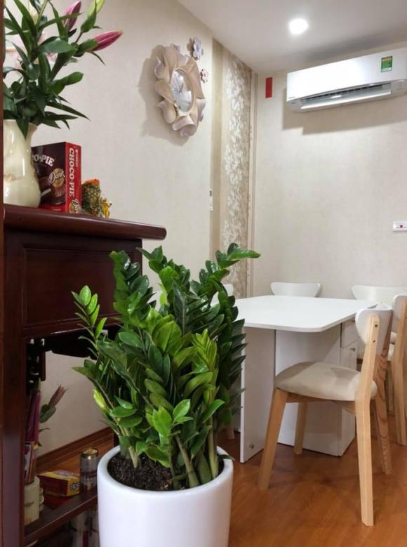 diễn viên Thanh Tú 3 Thanh Tú, diễn viên Thanh Tú, sao Việt
