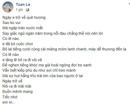 Anh Vũ, Anh Vũ về Việt Nam, chồng Hồng Vân, Hồng Vân, sao Việt 