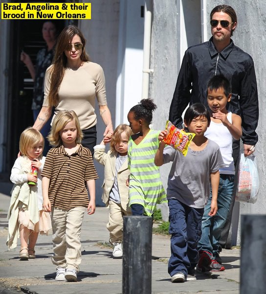Angelina Jolie,Brad Pitt,Angelina Jolie - Brad Pitt ly hôn,Maddox