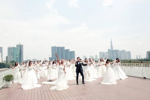 đàm vĩnh hưng, sao việt