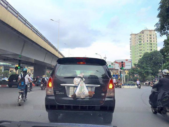 nghỉ lễ, hình ảnh quen thuộc