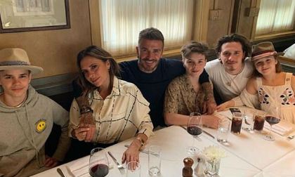 david beckham, các con của david beckham, sao hollywood