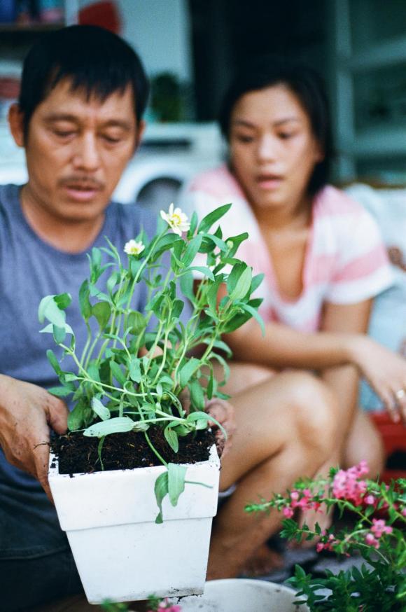 Phương Vy, sao việt