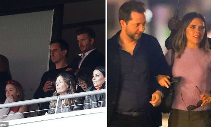 david beckham, harper seven, con gái david beckham, sao hollywood