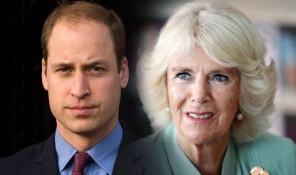 Hoàng tử William,Công nương Diana,Hoàng gia Anh,Camilla Parker
