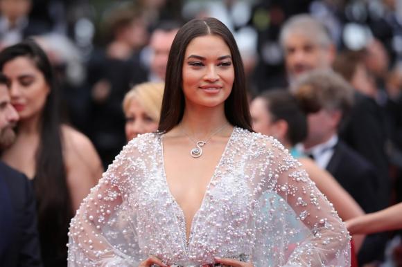 thảm đỏ lhp cannes, shanina shaik, Milla Jovovich