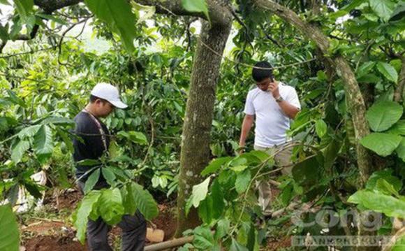 vụ chôn xác phi tang 3 bà cháu, vụ sát hại 3 bà cháu ở Lâm Đồng, giết người