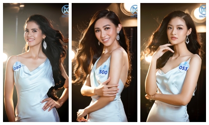 Miss World Việt Nam, Hoa hậu Thế giới, sao việt