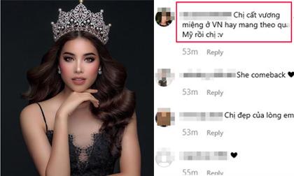 Hoa hậu Phạm Hương, hoa hậu hoàn vũ việt nam, sao Việt