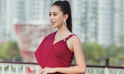 Hoa hậu tiểu vy,hoa hậu mỹ linh,Chung khảo phía Bắc Miss World Việt Nam