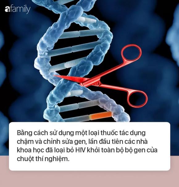 HIV, Chữa khỏi HIV, Thuốc chữa HIV