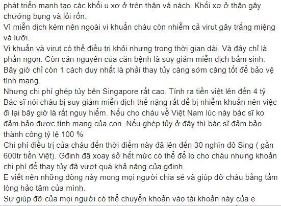 Minh Hiền, con trai ca sĩ Minh Hiền, Thanh Lam, sao việt ủng hộ Minh Hiền