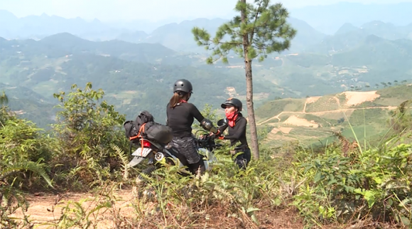 hoa hậu Kỳ Duyên, hoa hậu H'Hen Niê, ca sĩ MLee, á hậu Lệ Hằng, siêu mẫu Minh Triệu, cuộc đua kì thú 2019