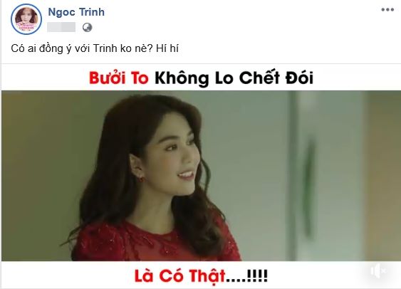 nữ hoàng nội y ngọc trinh, người mẫu Ngọc Trinh, sao Việt