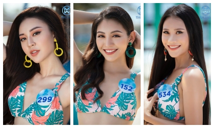 hoa hậu Tiểu Vy, á hậu Phương Nga, thí sinh Miss World Việt Nam 2019, sao Việt