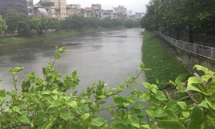 Sông Tô Lịch, Nước sông tô lịch trong xanh, Tin xã hội