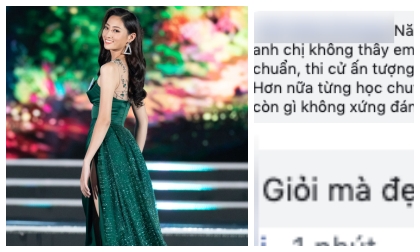 Miss World Vietnam 2019, Lương Thùy Linh, Hoa hậu Thế giới Việt Nam 2019 