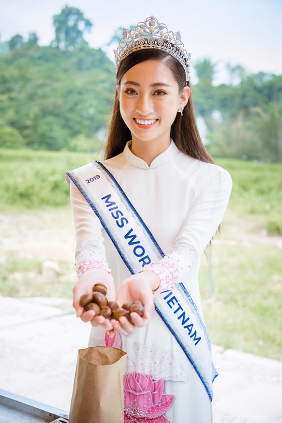 Lương Thuỳ Linh, Hoa hậu Thế giới Việt Nam 2019, Miss world Việt Nam 2019, sao Việt