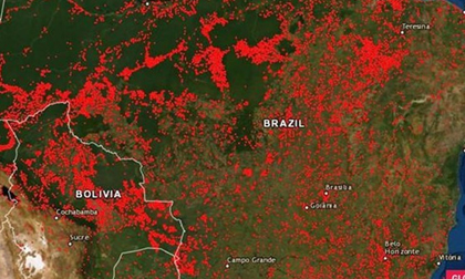 Cháy rừng Amazon, clip hot, clip ngôi sao