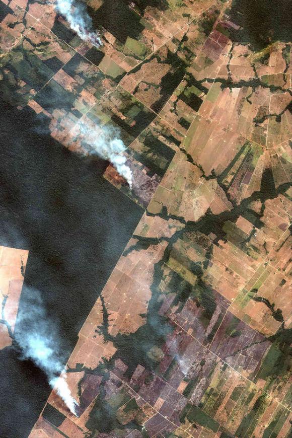 Amazon, Cháy rừng Amazon, Hỏa hoạn