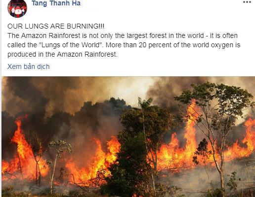 rừng Amazon, rừng Amazon cháy, sao Việt, Phương Khánh, Tiểu Vy, Tăng Thanh Hà