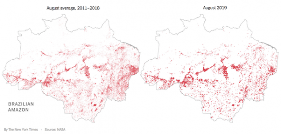 Amazon, Cháy rừng Amazon, Hỏa hoạn