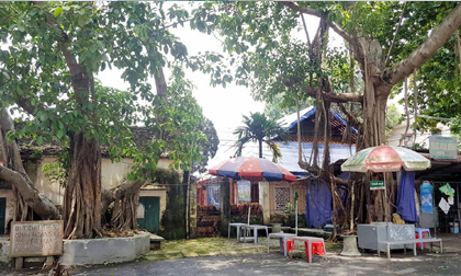 Ngôi làng kỳ lạ ở Hà Nội, Làng Hoàng Xá, Lịch sử việt nam