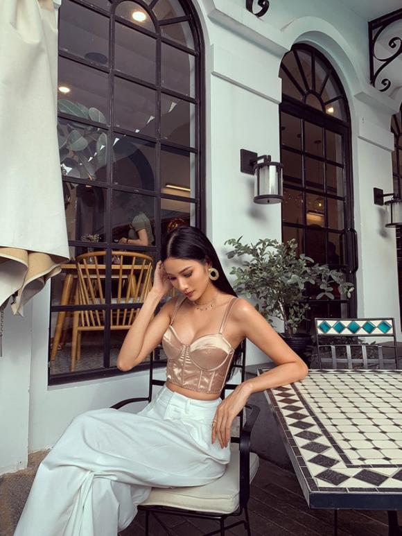 á hậu Hoàng Thuỳ, Miss Universe 2019, sao Việt