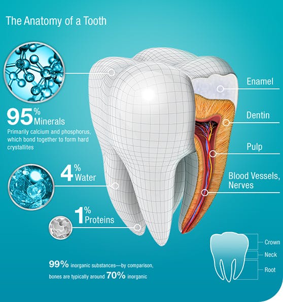 gel tái tạo men răng, tái tạo men răng hiệu quả, chữa sâu răng