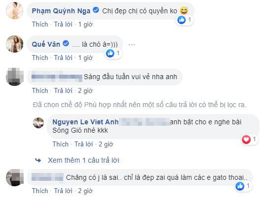 Việt Anh, Việt Anh phẫu thuật thẩm mỹ, sao Việt 