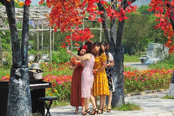 phong lá đỏ, Hà Nội, Trần Duy Hưng, phim trường