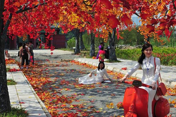 phong lá đỏ, Hà Nội, Trần Duy Hưng, phim trường
