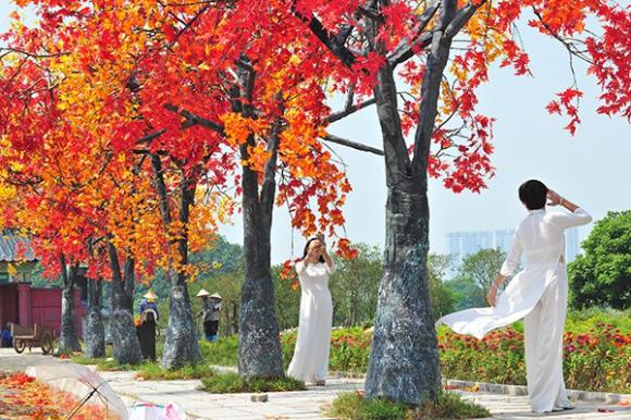 phong lá đỏ, Hà Nội, Trần Duy Hưng, phim trường