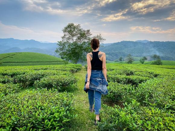 sao Việt, tin sao Việt, tin sao Việt tháng 9, tin sao Việt mới nhất, Nhật Kim Anh, Trường Giang