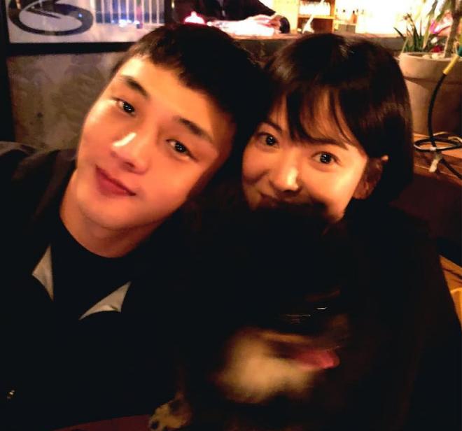 diễn viên, song hye kyo, song joong ki, sao hàn 
