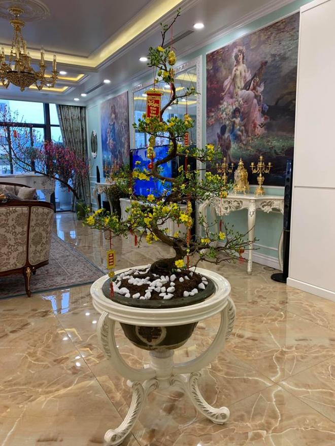 nhà ca sĩ Tân Nhàn 9 penthouse, ca sĩ Tân Nhàn, nhà của Tân Nhàn, sao Viêt, Tết nguyên đán 2019