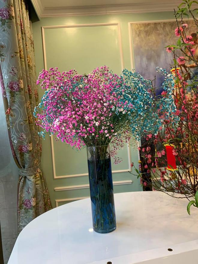 nhà ca sĩ Tân Nhàn 12 penthouse, ca sĩ Tân Nhàn, nhà của Tân Nhàn, sao Viêt, Tết nguyên đán 2019