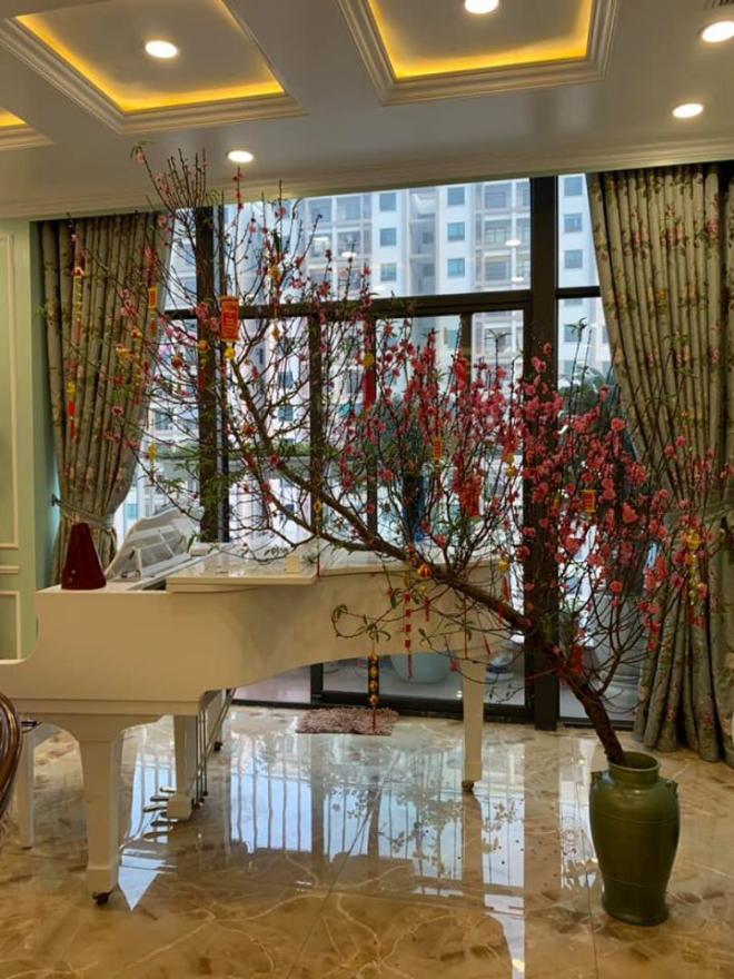 nhà ca sĩ Tân Nhàn 2 penthouse, ca sĩ Tân Nhàn, nhà của Tân Nhàn, sao Viêt, Tết nguyên đán 2019